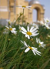 funeral-thank-you-notes